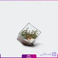 تراریوم مکعب شکل