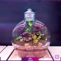 تراریوم سبز