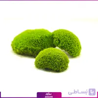 بال ماس تثبیت شده (1 متری)