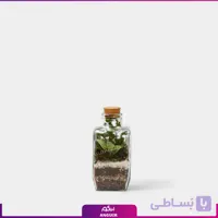 تراریوم با شیشه چهار وجهی