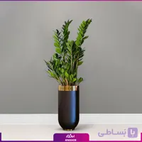 گلدان هدیه VIP فایبرگلاس با زاموفیلیا سبز
