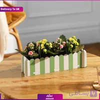 کالانکوئه‌های جعبه‌ای (Delivery to UK)