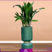 گلدان هدیه لوکس برگ عبایی فایبر گلاس طرح ساعت شنی