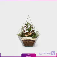 تراریوم الماسی مثلث