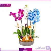 ست گل ارکیده (ارسال گل به ترکیه)