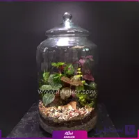 تراریوم درب دار شیشه ای