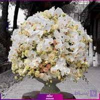جام گل آغاز خوشبختی