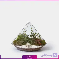 تراریوم الماسی