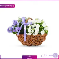 سبد گیاهان فصلی (تحویل در مجارستان)