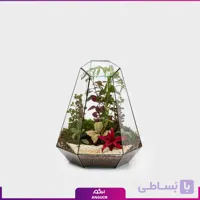 تراریوم ویکتوریا