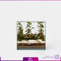 تراریوم کتابی