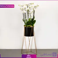 گلدان ارکیده پایه دار (تحویل در امارات)