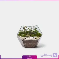 تراریوم هندسی