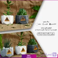 گلدان هدیه مینی (هدایای سازمانی و تبلیغاتی)