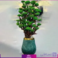 درخت جاودان با گلدان مخملی