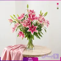 جار گل لیلی رز صورتی طبیعی؛ خاص و چشم‌نواز
