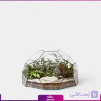 تراریوم چند بعدی