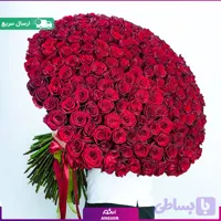 دسته گل بزرگ رز قرمز هلندی ممتاز – ۲۴۰ شاخه