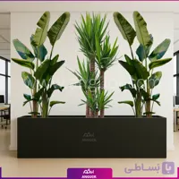 فلاور باکس با یوکا و نیکولای