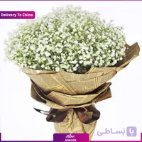 (Delivery in China) Gypsophila bouquet