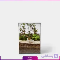 تراریوم چهار ضلعی به همراه درب
