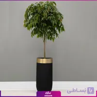 گلدان هدیه VIP فایبر گلاس با فیکوس آمستل+ زیر گلدانی چرخدار