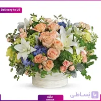 (Delivery to USA) Wild Peach Rose Garden
