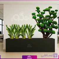گلدان ترکیبی سانسوریا با درخت جاودان (مخصوص شرکت ها)