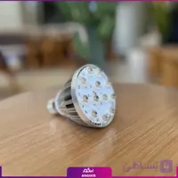 چراغ رشد گیاه توکار 12 وات