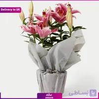 Lilis pot (Delivery to UK)