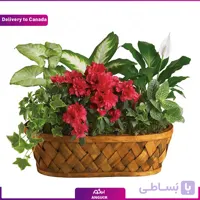 Plants Galore (ارسال گل به کانادا)