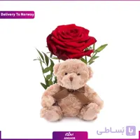 گل رز با خرس عروسکی (تحویل در نروژ)