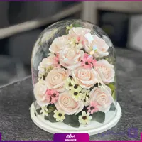 تنگ شیشه‌ای مصنوعی دلسان