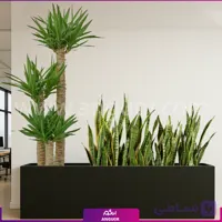 فلاور باکس با یوکا (مخصوص شرکت ها و سازمان ها)