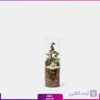 تراریوم استوانه ای