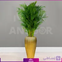 نخل اریکا با گلدان فایبرگلاس طلایی بلند ژورنالی