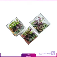 تراریوم شیشه ای ست 3 تایی انتالیا فمیلی