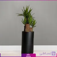 گلدان فلزی یوکا سه شاخه تنه دار بزرگ