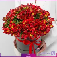 باکس گل آلسترومریا قرمز (45 شاخه)