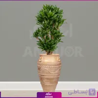 گلدان سفالی طرح مصری با دراسنا کامپکت چند شاخه