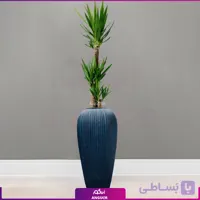 گلدان طرح جدید پاریس با یوکا