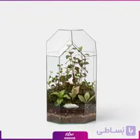 تراریوم مانتیس