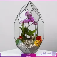 تراریوم ارکیده بنفش
