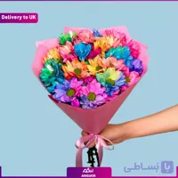 5Mixed Chrysanthemum (Delivery to UK)