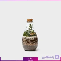 تراریوم آمازون