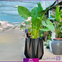 گلدان هدیه فایبرگلاس بابا آدم سایز بزرگ