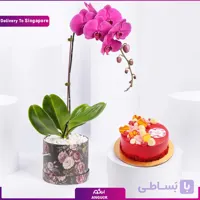 گلدان ارکیده بنفش + کیک (تحویل در سنگاپور)