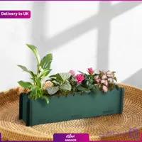 باغچه گل رز در گلدان سبز (Delivery to UK)