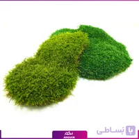 خزه‌ شیت تثبیت شده (1 متری)