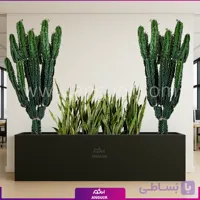 فلاور باکس با سانسوریا و افوربیا